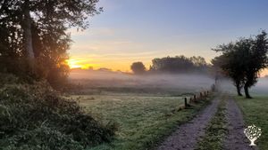 Small farm with many dreams