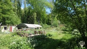 Permaculture : potager, serre, verger, forêt comestible, poulailler