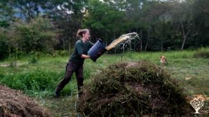 Let's Grow Trees: Reforestation, Community Activities + Organic Permaculture Farm + Tea & Coffee
