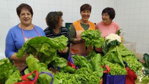 Communal Living Group