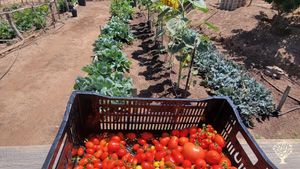 Beautiful property in San Diego North County - Musicians Welcome!