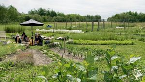 Awaken Herb Farm - the circle teaching garden surrounded by rows of medicinals.