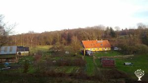Family home and garden - rural