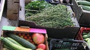 Alternative co-operative community, Community farm