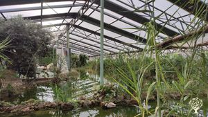 Giardino Botanico in Acquaponica