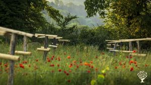 Ferme fruitière agroécologique certifiée en agriculture biologique dans un paradis en pleine nature