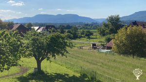 The lush green environment and beautiful views are always inspiring and very joyful