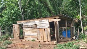 Organic, regenerative smallholding & agroforestry project  - Therapy & Holistic Retreat