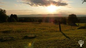 Need help last week in July 2025! Family home and garden - rural, Homestead, Hobby Farm