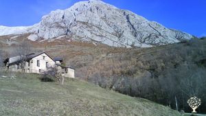 Family home and garden - rural, Cattle Ranch, Horse Ranch, Mixed Farm, Family farm