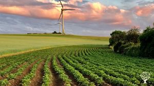 Livestock Farm, Farm, Family farm