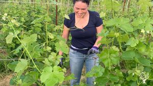 Azienda biologica in provincia di Asti.