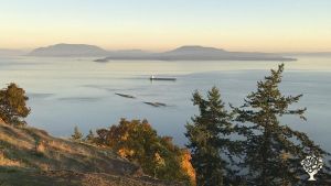 ocean view from deck