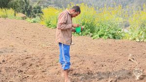 Our farm is in  about 37 km far from Kathmandu