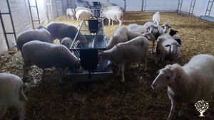 Ali Çağanın anısını yaşattığım, kendine yeten, doğal dostu bir çiftlik