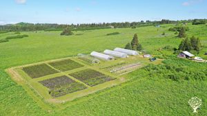 Aerial picture of farm