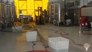 Azienda agrituristica e vitivinicola biologica negli appennini/Bio-Farm with winery on the Hills