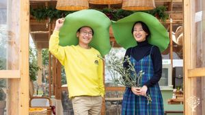<JJ125>한국에서 만날 수 있는 지중해 올리브 농장 / Olive farm you can find in Korea