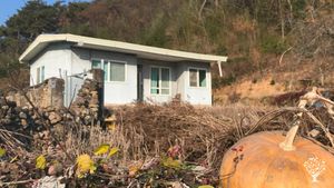 <JN129>다양한 생명들이 역동하는 조화로운 세상을 꿈꿉니다 / We Dream of a Harmonious World Where Diverse Lives Thrive Dynam