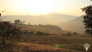 Azienda agricola