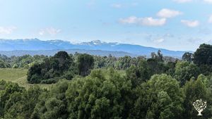 We are an organic-regenerative farm in the south of Chile!