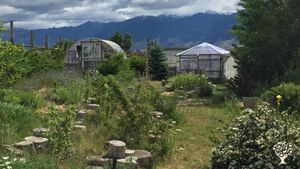 Educational homestead near Yellowstone focused on self-reliance and community