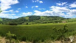 Apicoltura, coltivazioni, Allevamento, Azienda agricola, Produzione ortaggi