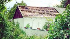 Smallholding, Eco Retreat, Fruit tree nursery, Orchard, Family farm