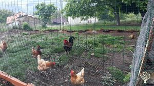 Granja ecológica en aldea