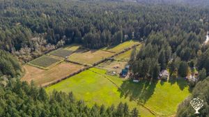 Avalon Farm hayfields and blueberry patch.
