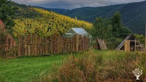 Mountain village homestead