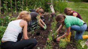Educational centre, communal living / cohousing