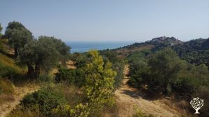 Orto di Sementi antiche, Home restaurant con prodotti naturali a km0