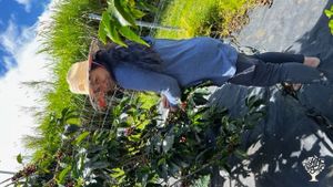 1 acre self-sufficiency farm in Hawaii