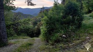 Ferme Pisciculture - Restaurant - Gîte