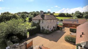 Smallholding with raised beds, orchards, small woods, and diverse flock of laying hens (11)