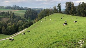 Biobauernhof in der Zentralschweiz