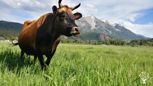 244-acre working biodynamic ranch and whole systems learning center near Aspen, CO