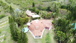 Verger en perma culture transition vers agro syntropie