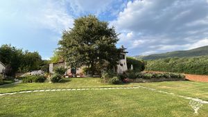 Giovane azienda agricola, animali da cortile, orto, giardino e tanta natura!
