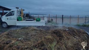 Espacio colaborativo donde hacemos compost y cultivamos en el clima extremo de la patagonia