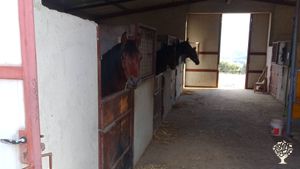 Az Agricola e allevamento cavalli