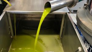 Olio bio 2022 !!! Ottimo!!!! 🫒😍🍷