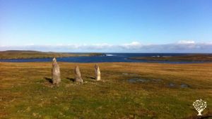 Smallholding, tree nursery, livestock farm, croft