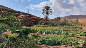 General view of the farm