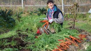 Sustainable family style farm situated in Homer across from active volcanoes and glaciers