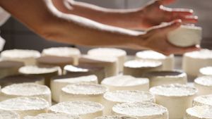 Ekolojik tarım ve hayvancılık yapan peynir üreticisi