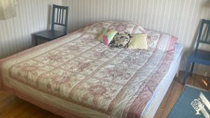 Inside the WWOOF cabin.