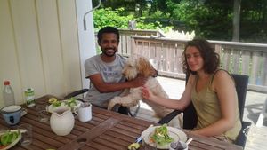 Rural farm with vegetatables and honey production. Fruit trees and berries. A small shop on the farm
