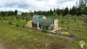Family home and garden - rural